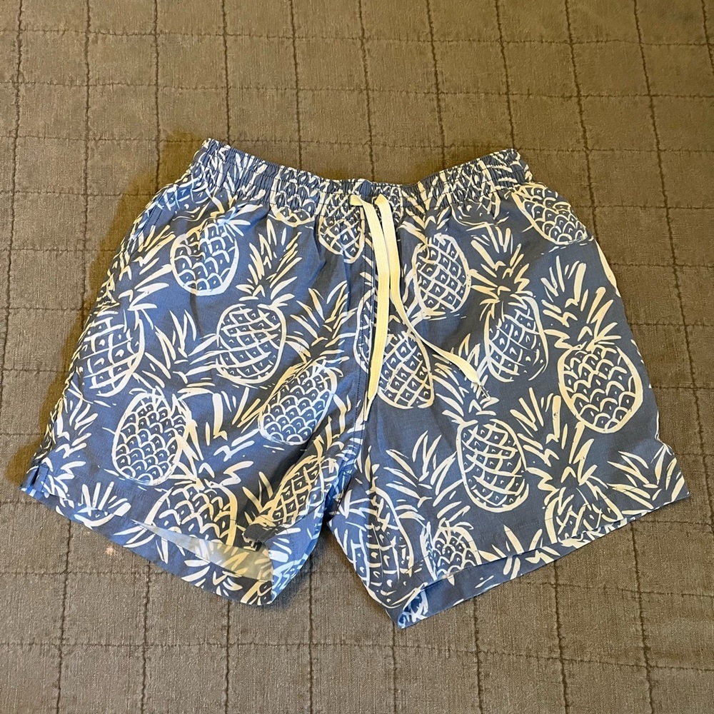 Chubbies Classic Swim Trunks Medium